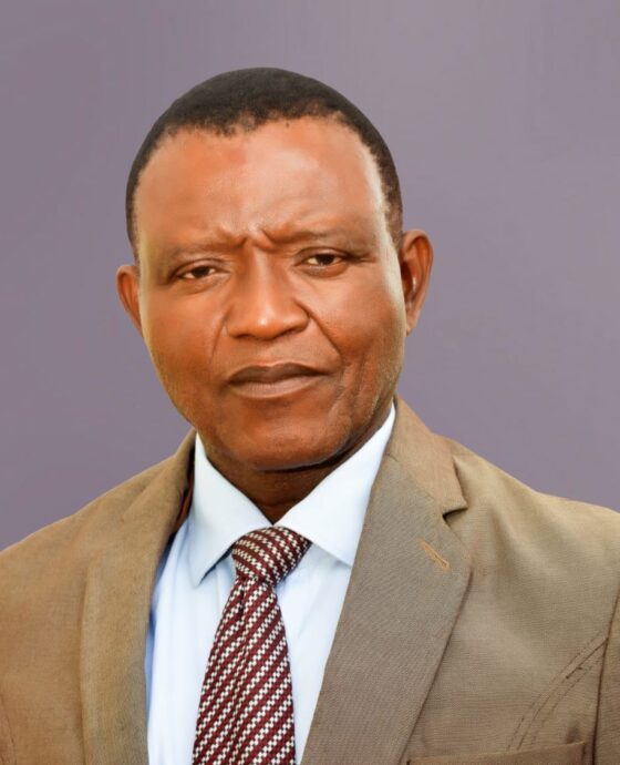 Prof. Friday Onyekwere Nwosu